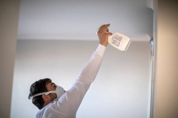 Mold Removal Process in Gloversville, NY