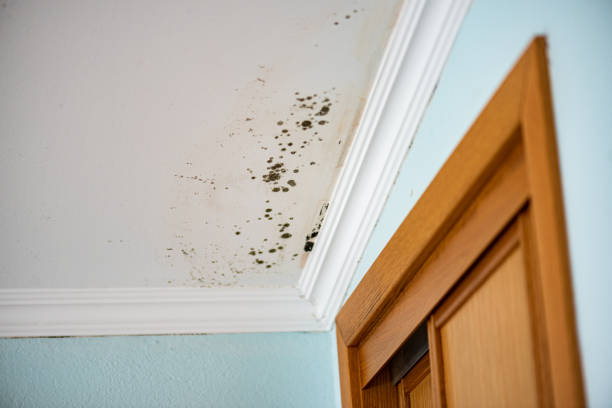 Water Damage Restoration in Gloversville, NY