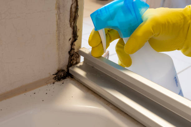 Best Crawl Space Mold Removal  in Gloversville, NY
