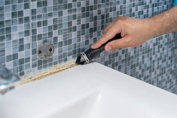 Best Certified Mold Removal  in Gloversville, NY