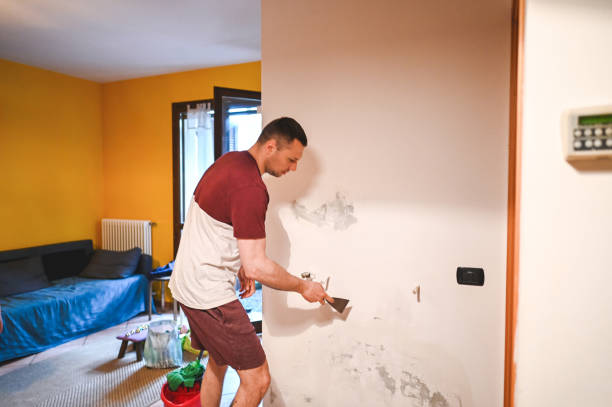 Best Affordable Mold Removal  in Gloversville, NY